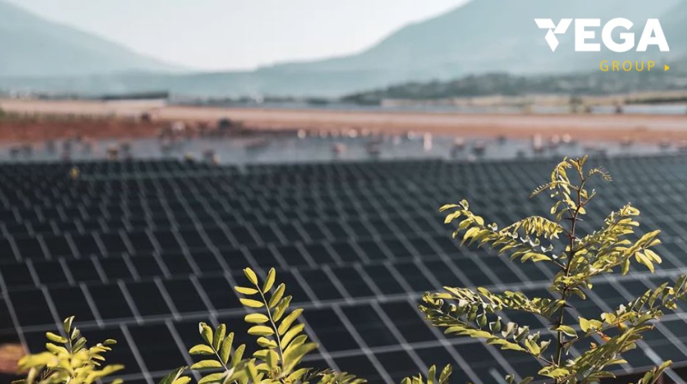 Vega Group: Si të zgjidhni llojin e duhur të paneleve diellore për nevojat tuaja